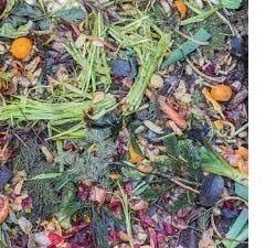 potager-hiver-compost-pour-nourrir-la-terre